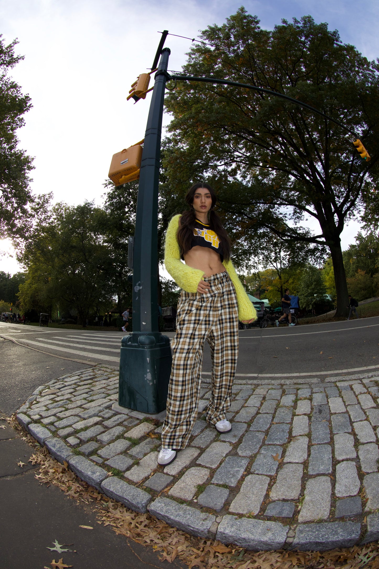 KNIT YELLOW CROP SWEATER